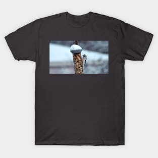 Winter Downy Woodpecker Peanut Bird Feeder T-Shirt